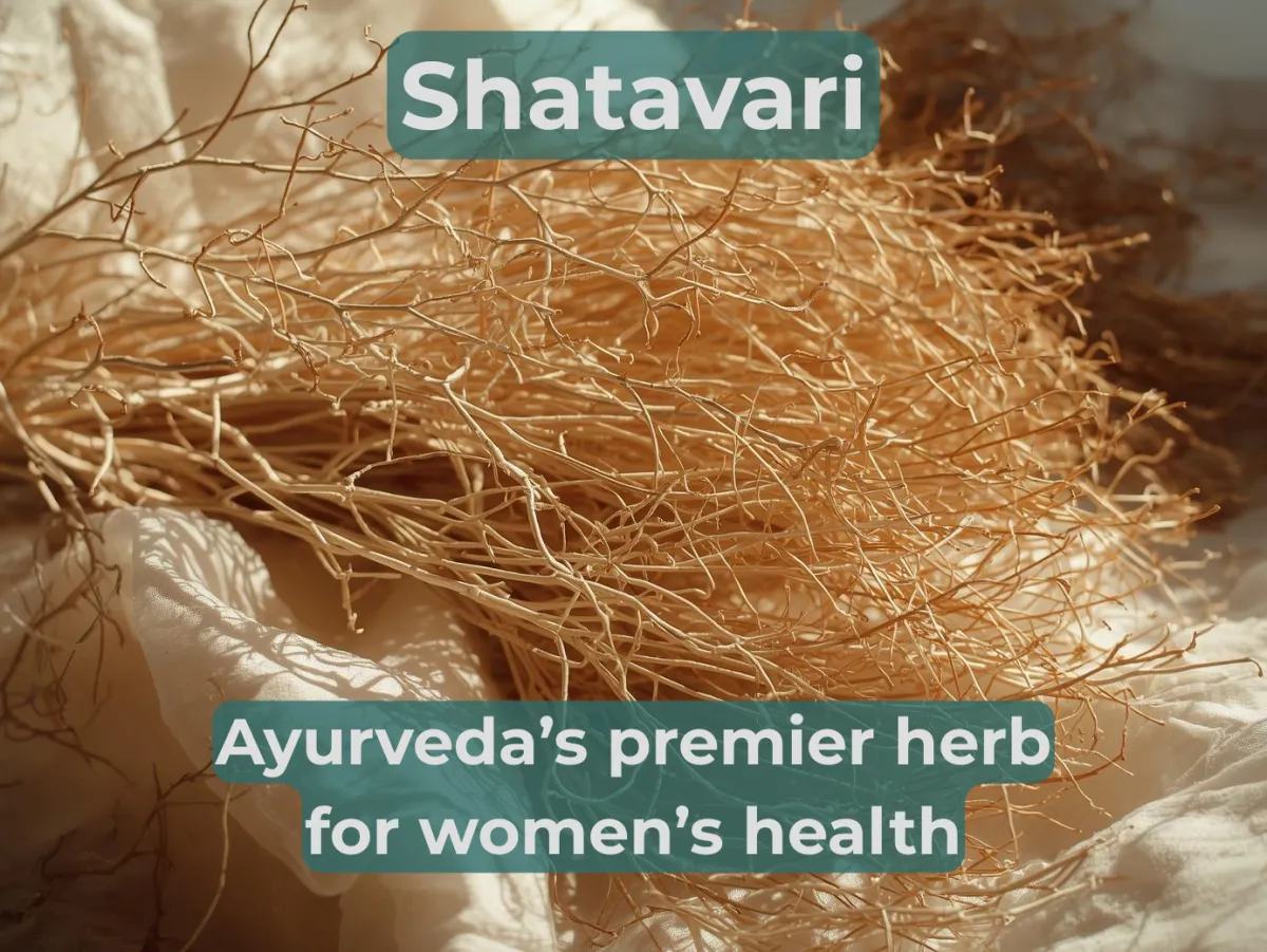 Shatavari: The Nourisher of Feminine Vitality