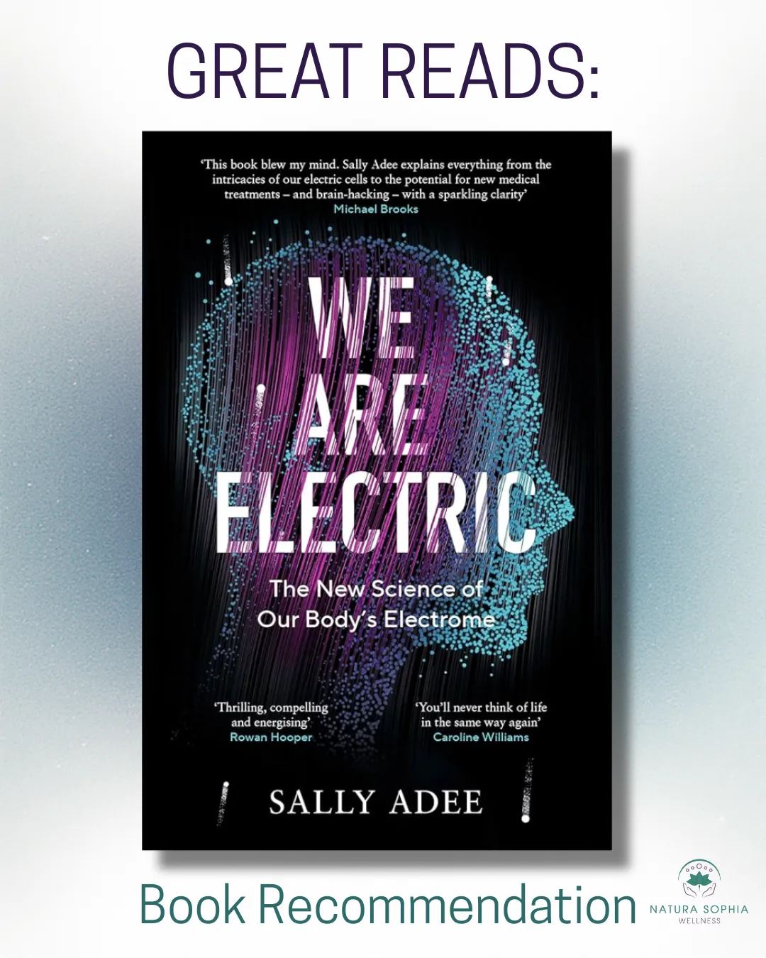 Great Reads:  We Are Electric by Sally Adee