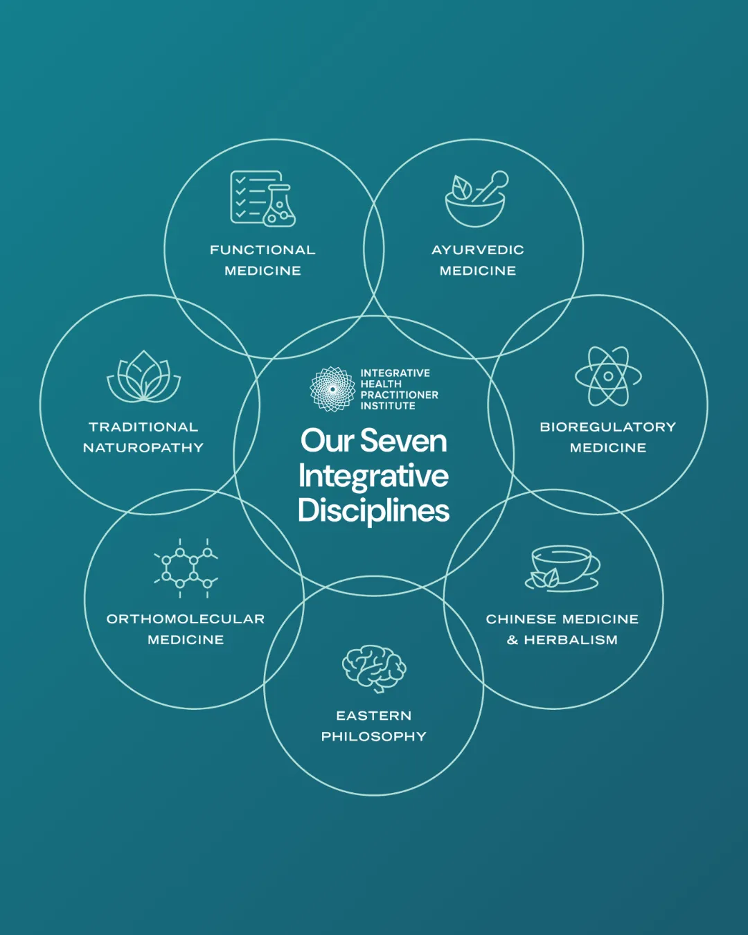🌿 What Is Integrative Health?
