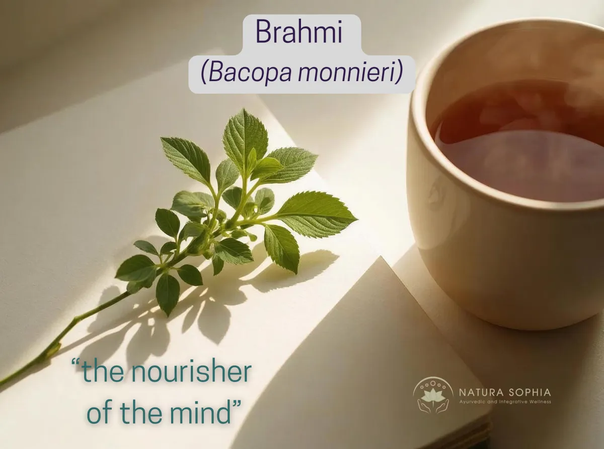 Brahmi (Bacopa): The Herb for Calm Focus and Cognitive Clarity