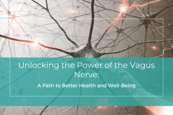 Unlocking the Power of the Vagus Nerve