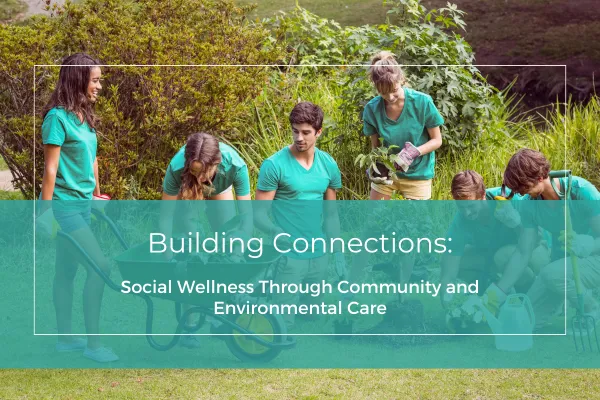 Building Connections