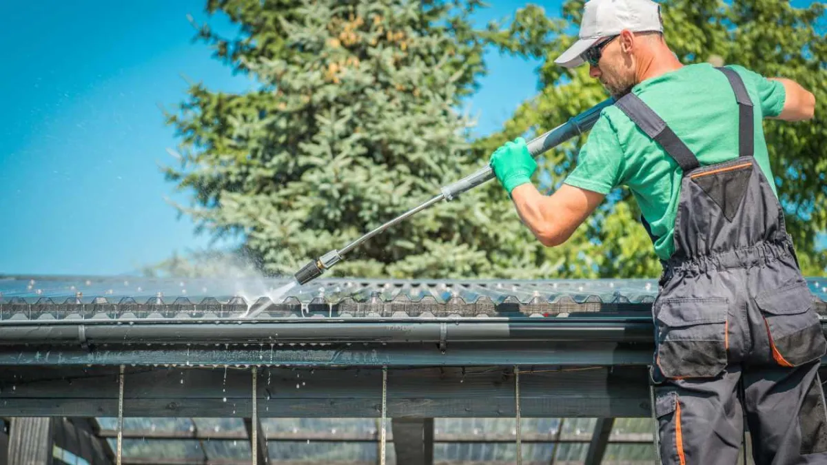 Is Your Roof Growing Algae? Here’s How to Safely Clean It