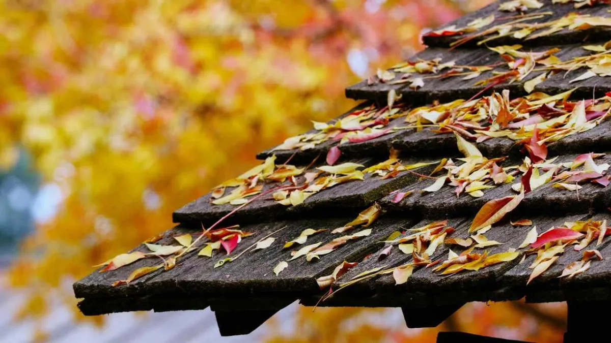 Why Fall Is the Perfect Time to Power Wash Your Roof