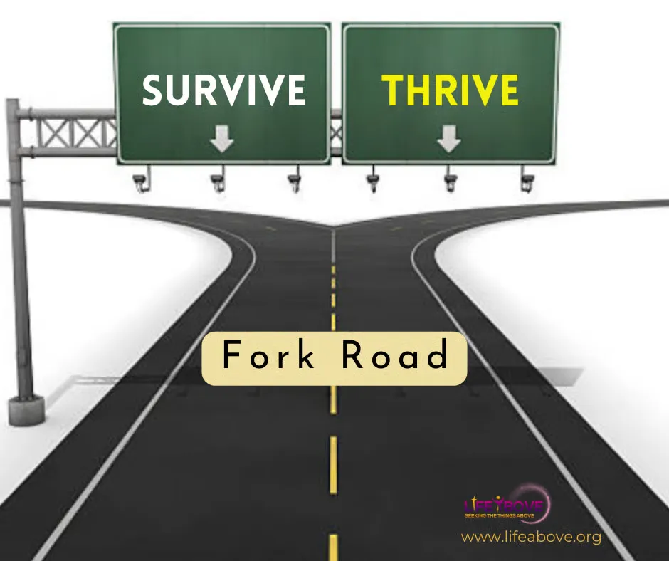 Fork in the Road: Surviving or Thriving in Relationships