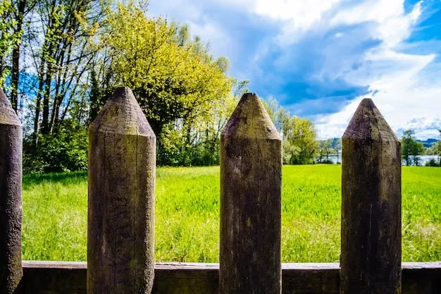 Navigating Relationships: The Power of Healthy Boundaries