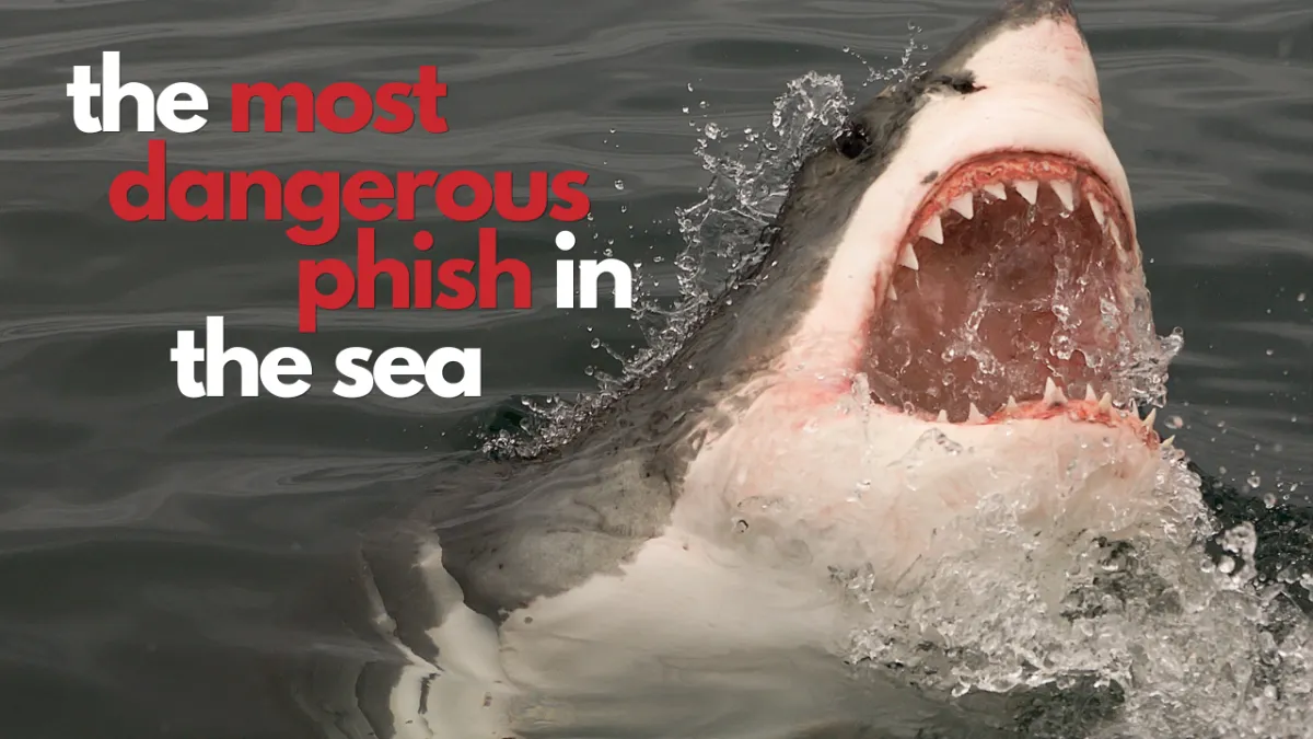 A Big Phish