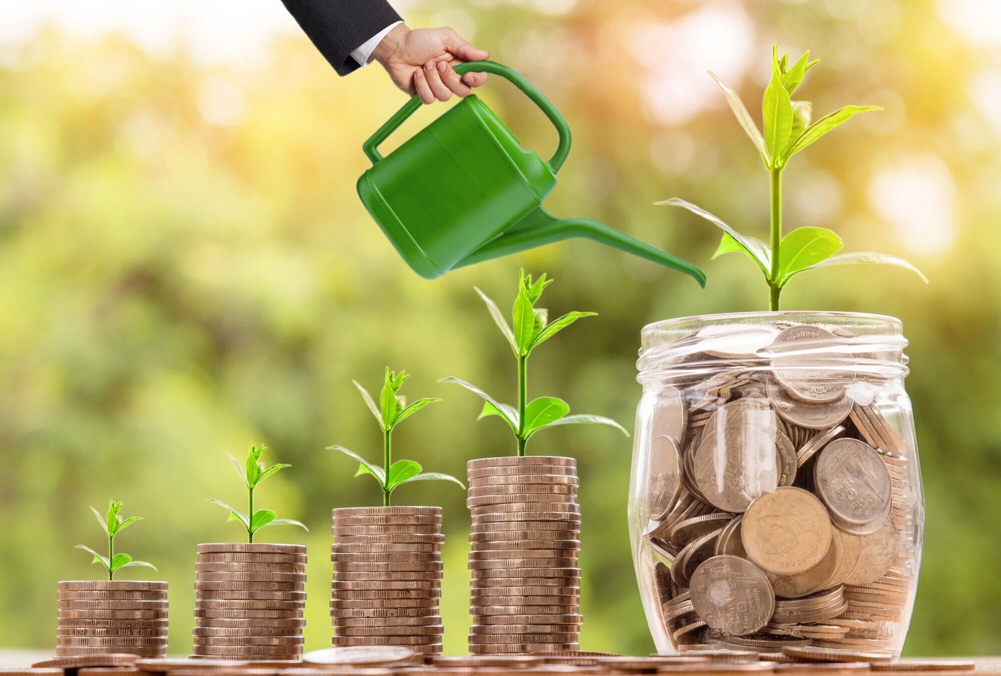 Resetting Your Mindset: Abundance and Wealth Affirmations During Sleep