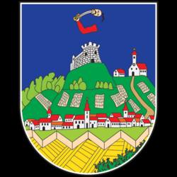 БАХАТОСТ ВЛАСТИ У ВРШЦУ: АКО СЕ НАВОДИ ПОТВРДЕ – РЕЧ ЈЕ О ЗЛОУПОТРЕБИ ВЛАСТИ И ПОЛИТИЧКОМ ПРИТИСКУ
