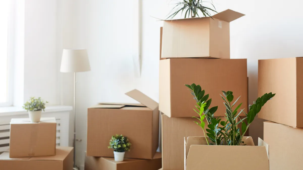 Moving Made Simple: How to Choose the Right Moving Company (and Avoid Scams)