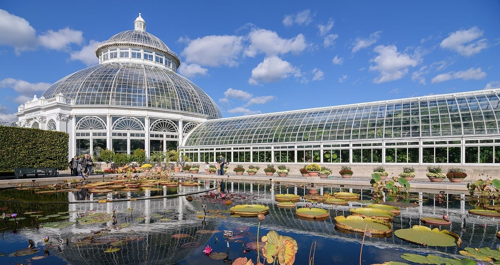 Explore the Bronx Like a Local: Zoo, Stadium & Botanical Garden by Car | Present Help Car Rentals, NewYork, NY