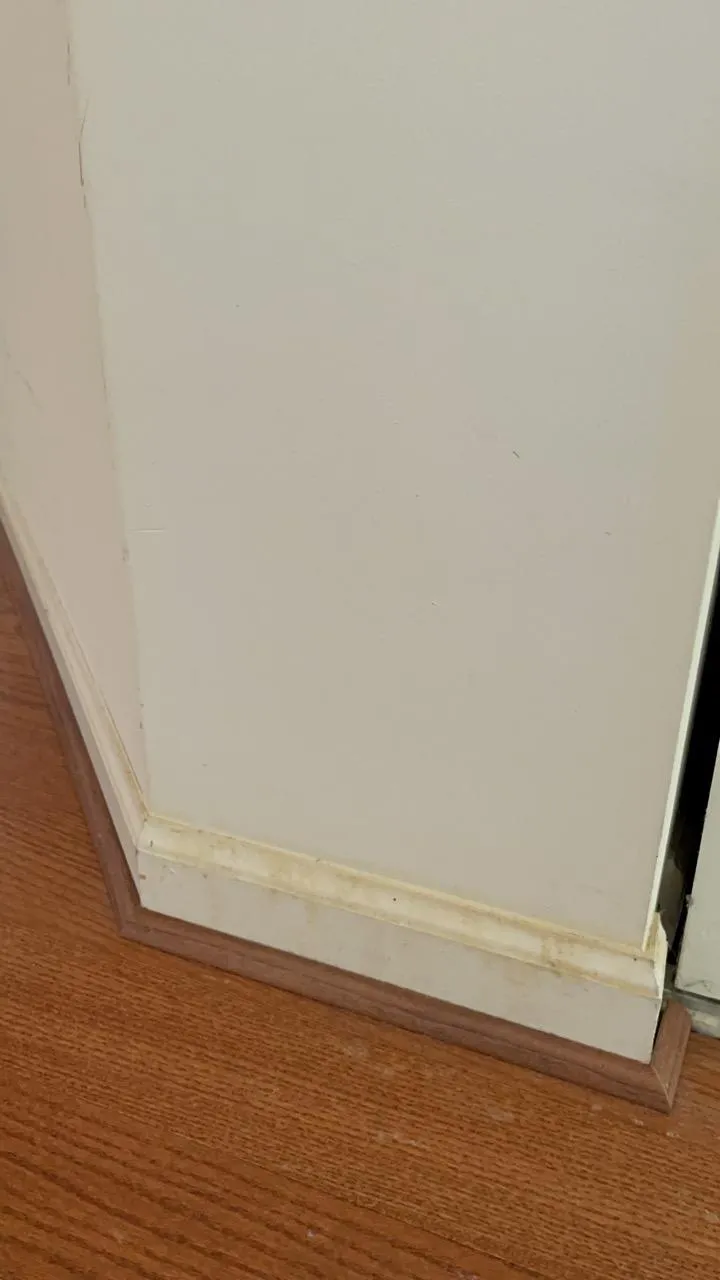 Dusty and dirty baseboards in a Downers Grove home before cleaning.