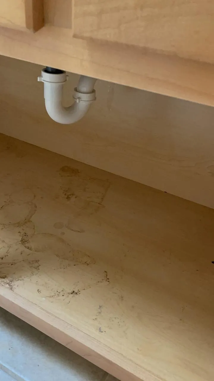 Dirty inside of a bathroom cabinet in a Lisle home before move-in cleaning.