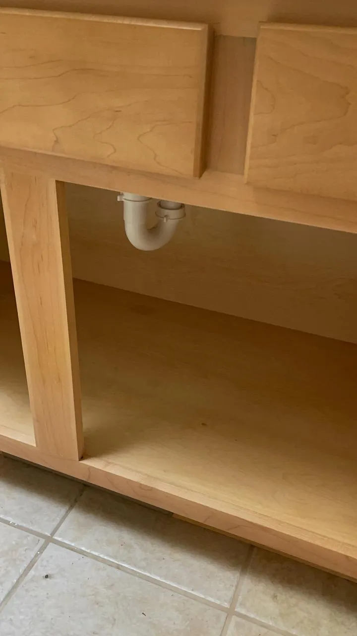 Clean and organized inside of a bathroom cabinet in a Lisle home after cleaning.