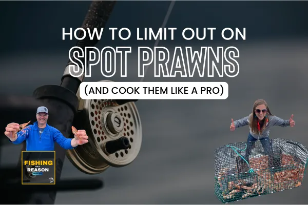 How to Catch Spot Prawns in the PNW