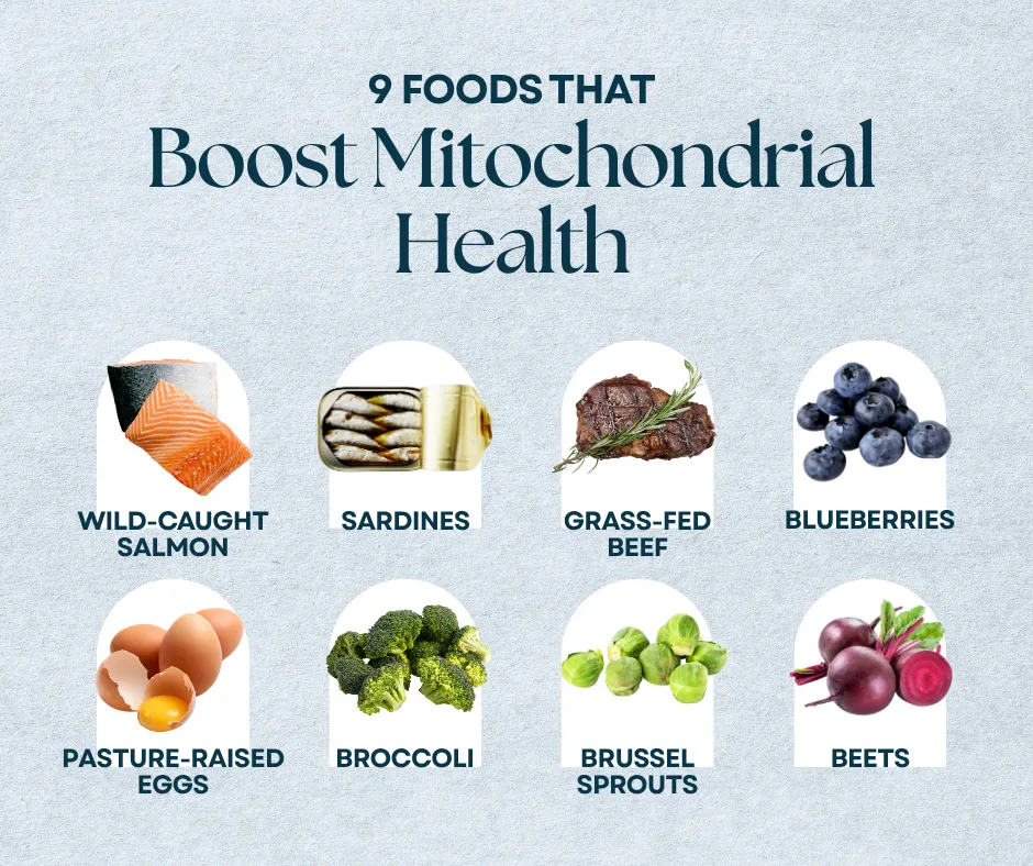 Nine foods like salmon, sardines, beef, and more to boost mitochondrial health.