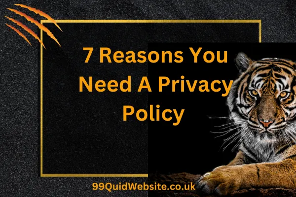 New Website Privacy Policy