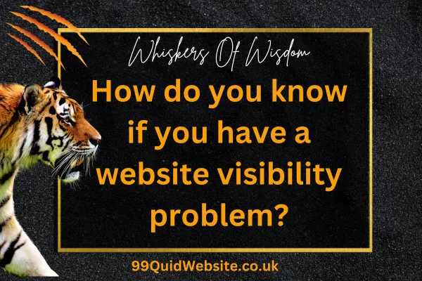 How do you know if you have a website visibility problem?