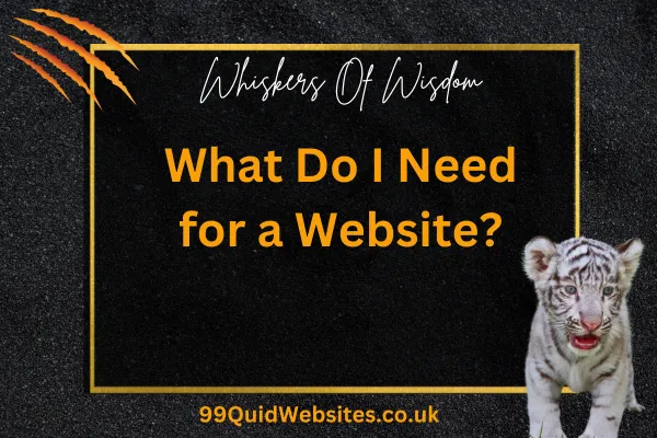 What Do I Need for a Website?
