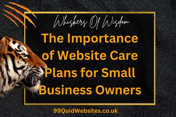 Website care plan