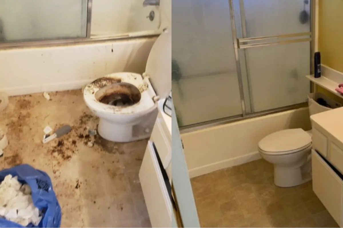 Detroit urine and feces cleanup experts providing discreet, certified biohazard restoration services.”