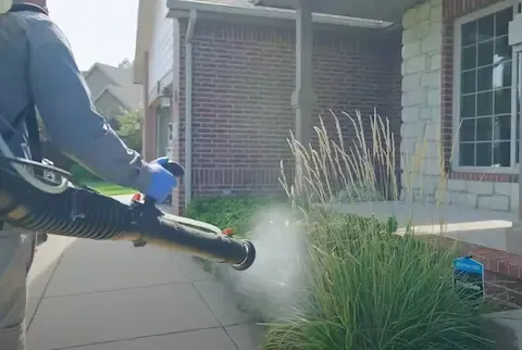 Emergency Pest Control in Beloit WI: Complete Response Guide for Homeowners