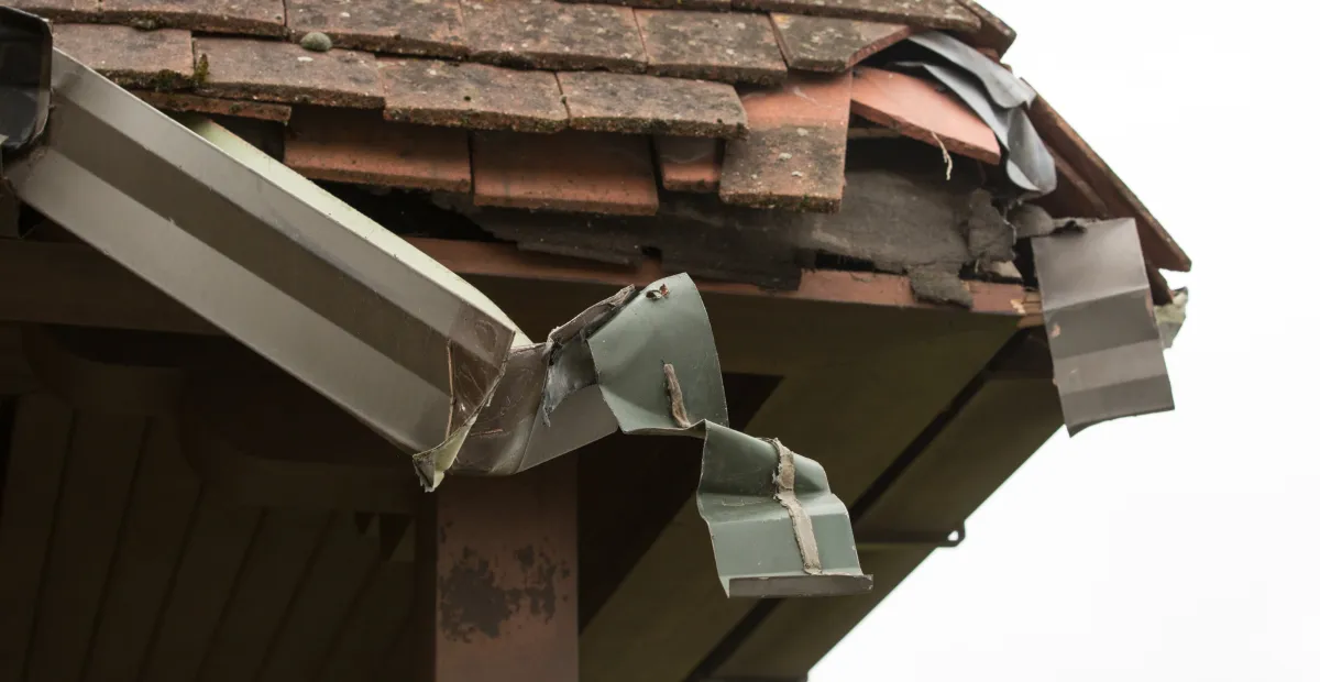 démoussage toiture Gièvres / nettoyage toiture Sologne / traitement hydrofuge toiture / ravalement façade Gièvres / nettoyage façade maison / artisan couvreur Gièvres / couvreur zingueur Sologne / prix démoussage toiture Gièvres / entretien toiture Sologne / nettoyage gouttière / traitement anti-mousse toiture / nettoyage pavés Gièvres / nettoyage terrasse Sologne / entreprise démoussage toiture Gièvres / façade maison entretien / nettoyage extérieur maison Gièvres / couverture toiture Sologne / nettoyage toiture écologique Gièvres / réparation gouttière zinc