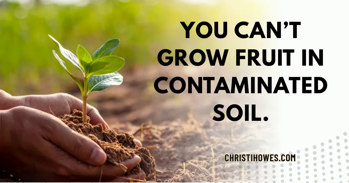 You Can’t Grow Fruit in Contaminated Soil—Why Culture Is the Foundation of a Scalable Business
