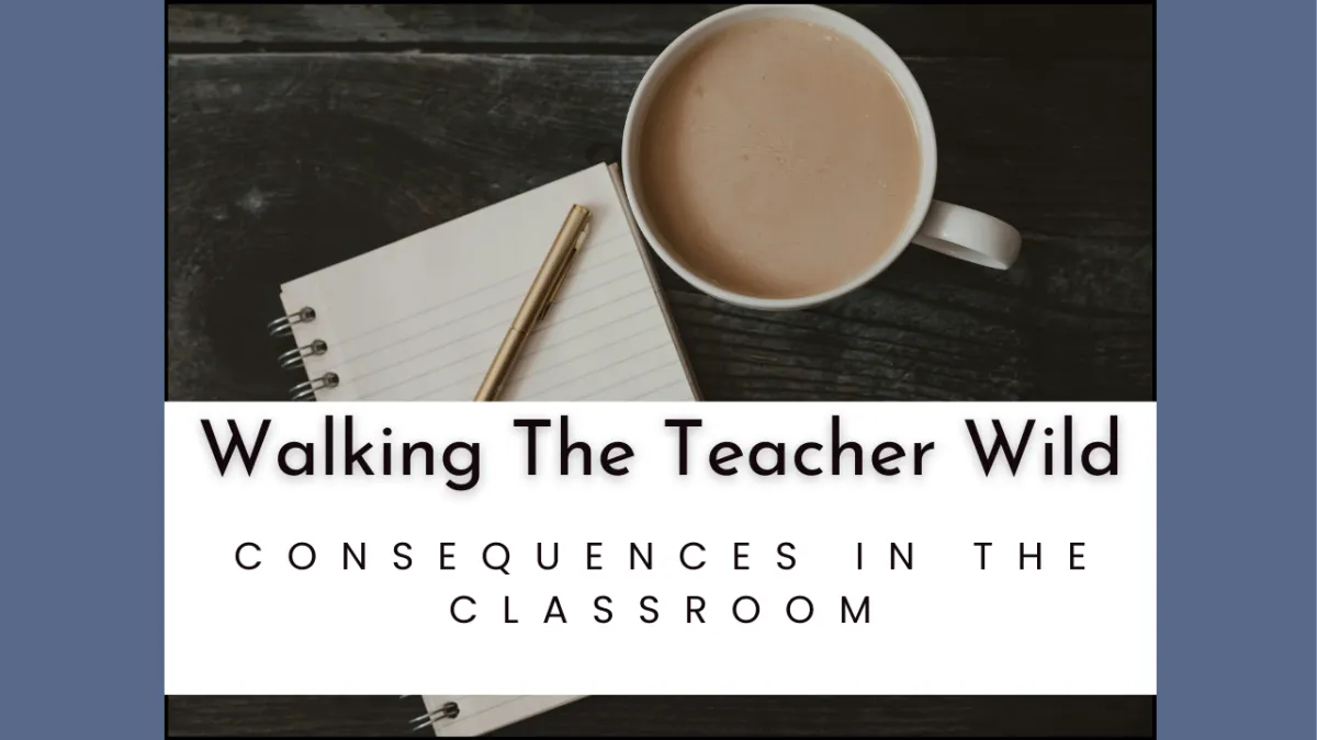  Consequences In The Classroom