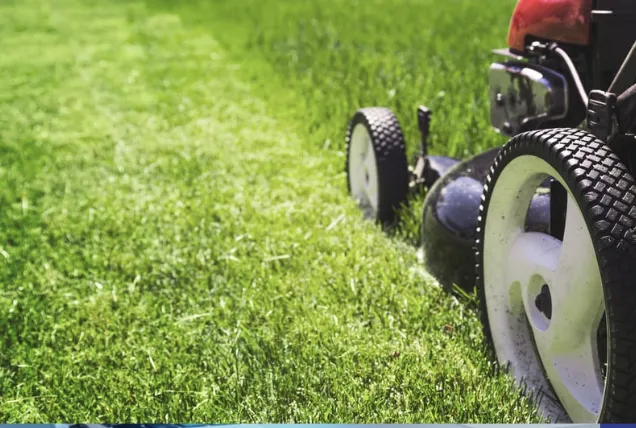 Unlock Your Potential: Why a Lawn Care Franchise Could Be Your Next Big Opportunity