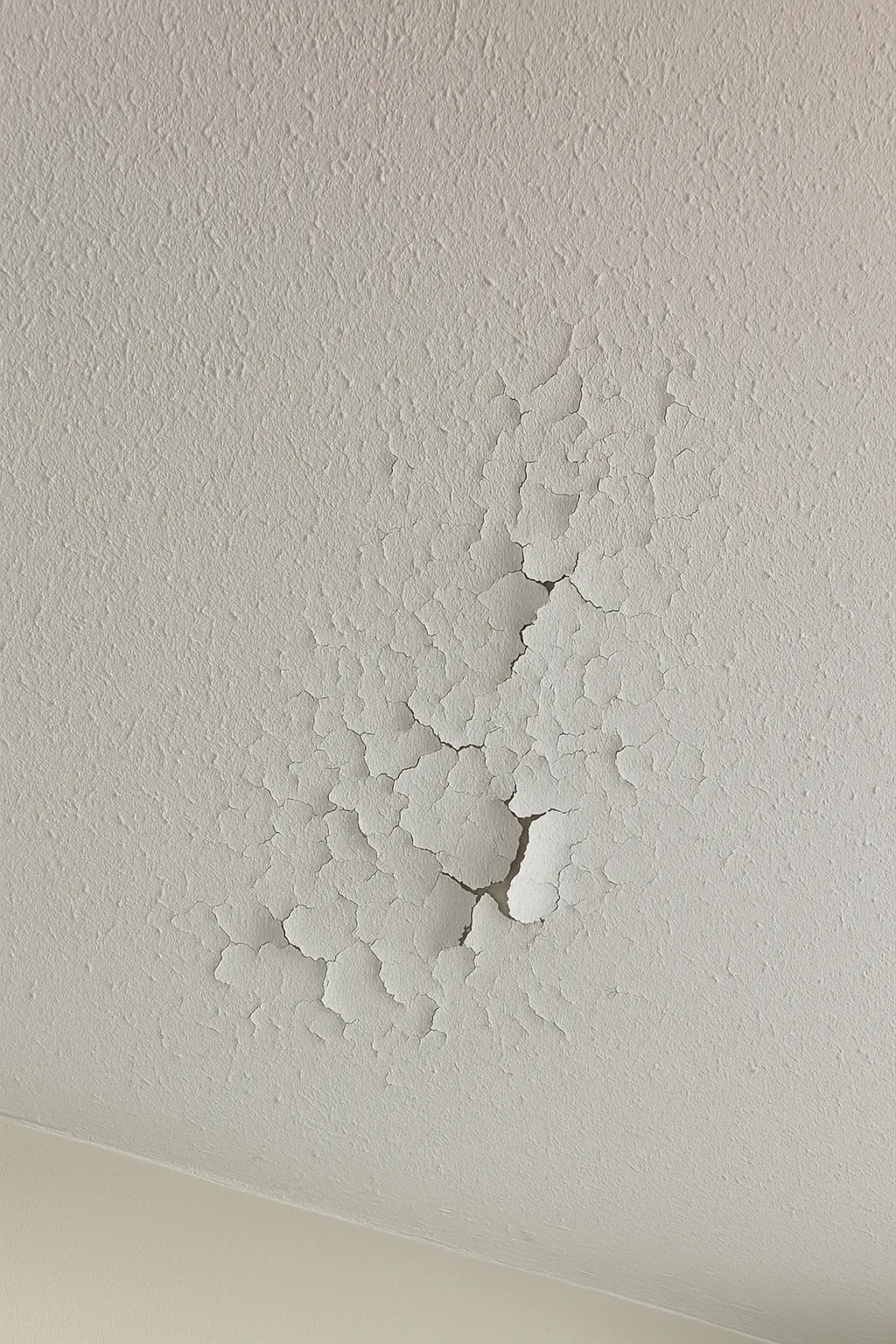 CEILING DAMAGE