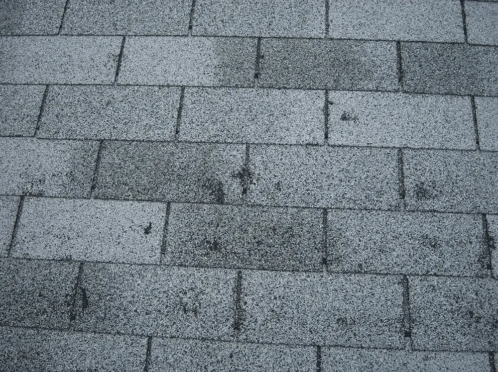 Hidden hail damage on a Quad Cities roof after a storm