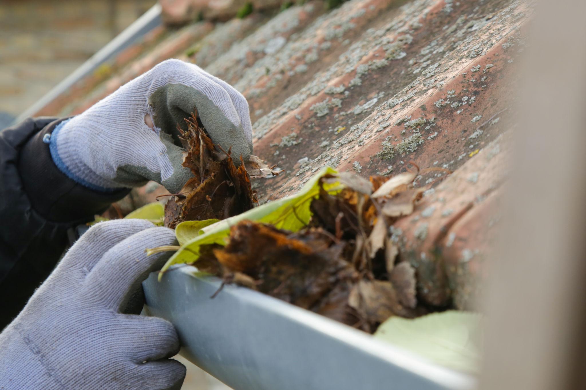 Why Early Fall Maintenance Prevents Costly Winter Roof Problems in the Quad Cities
