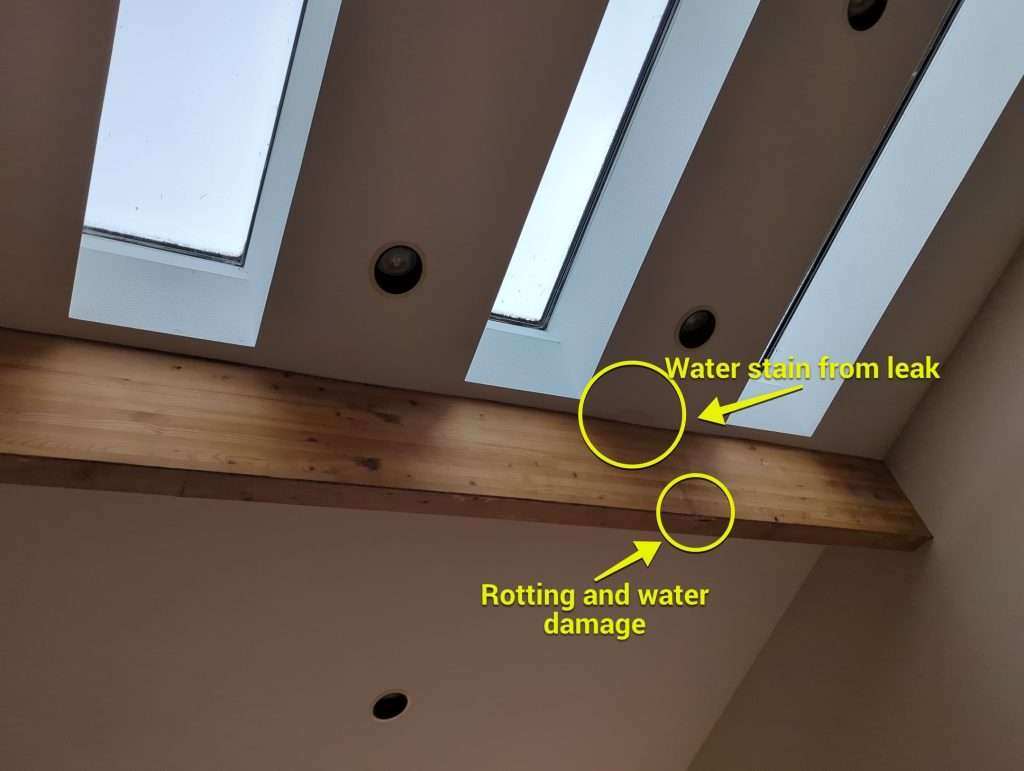 Is That a Roof Leak or Just Condensation? What Quad Cities Homeowners Need to Know About Skylights in Spring
