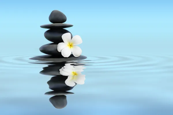 A visually appealing image that represents instant relaxation, perhaps showing someone stepping into the Mobile Wellness sauna and immediately feeling a sense of calm.