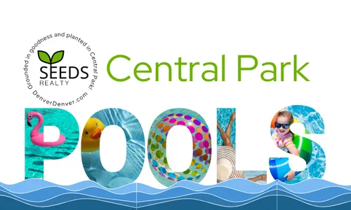 Pools of Central Park