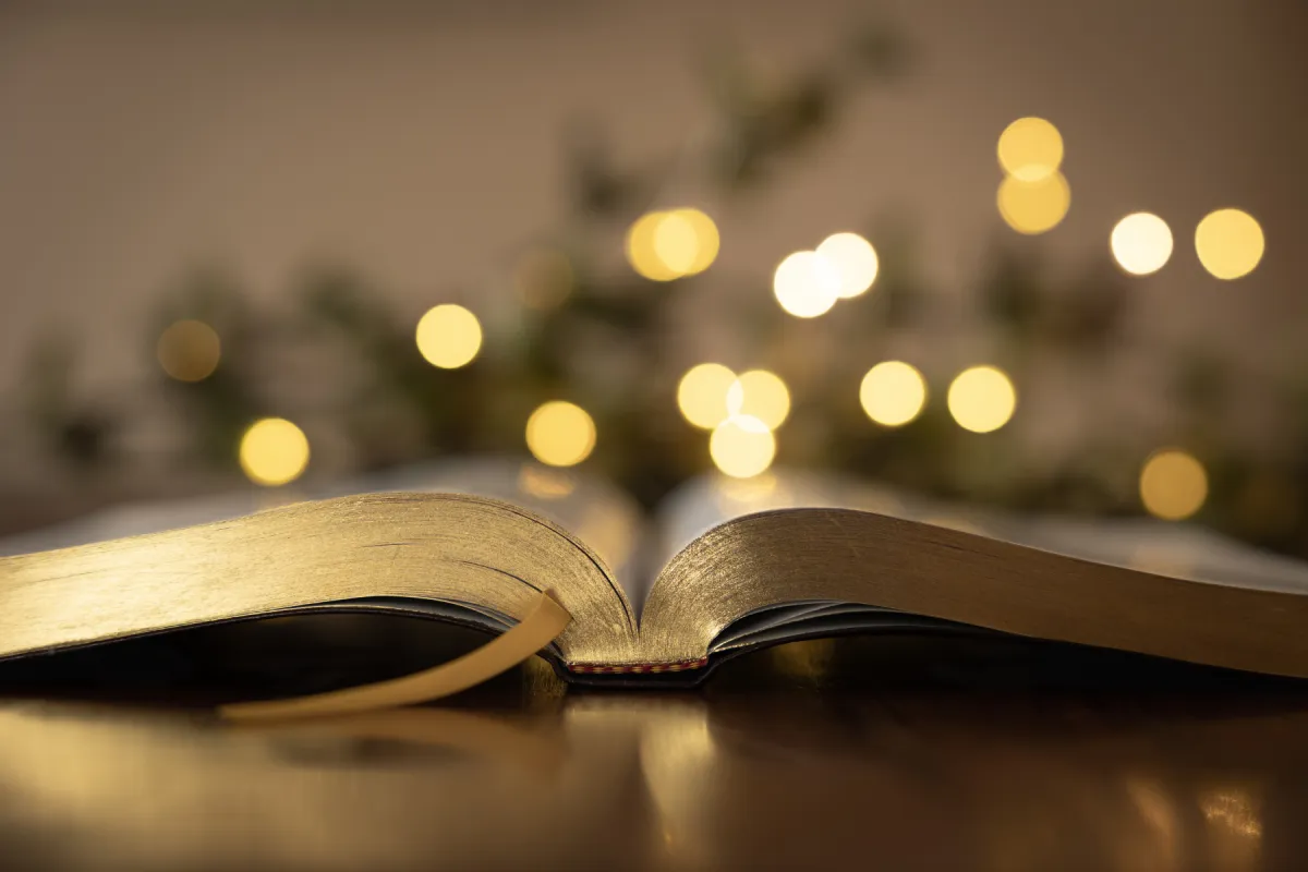 bible open with Christmas lights