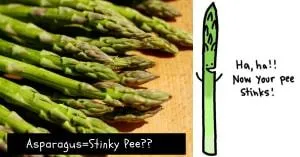 Asparagus=Pee stinks???
