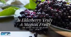 Is Elderberry Truly A Magical Fruit?