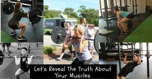 The Truth About Your Muscles