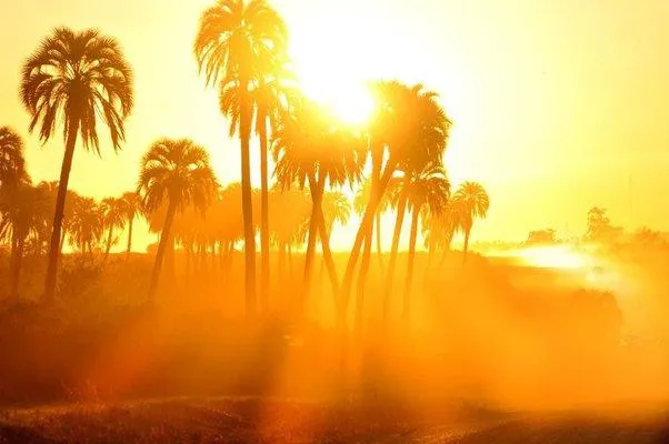 Don't let the heat get you down