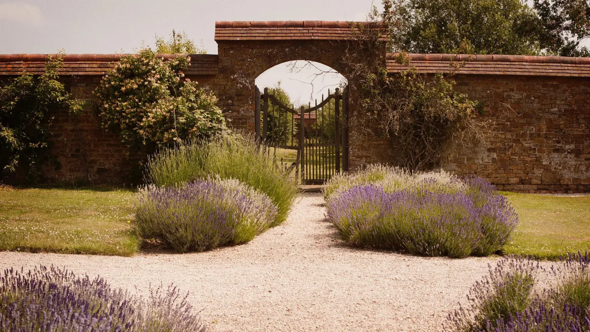 A Potted History of Garden Design
