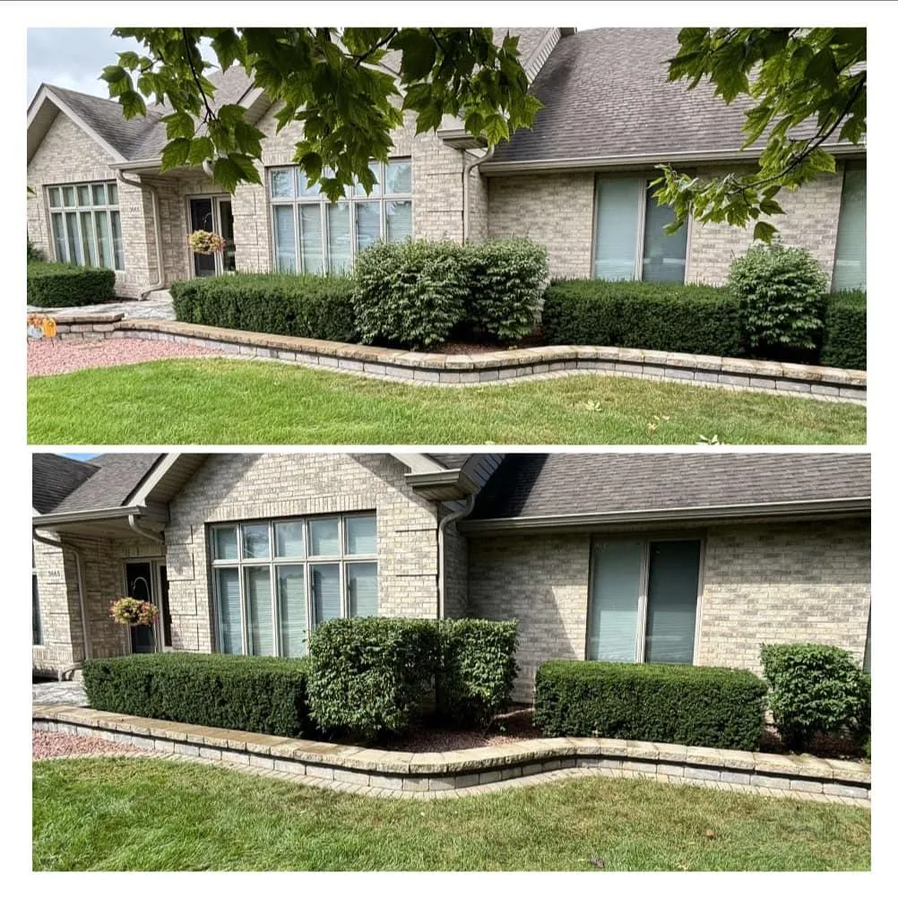 Hedge Trimming