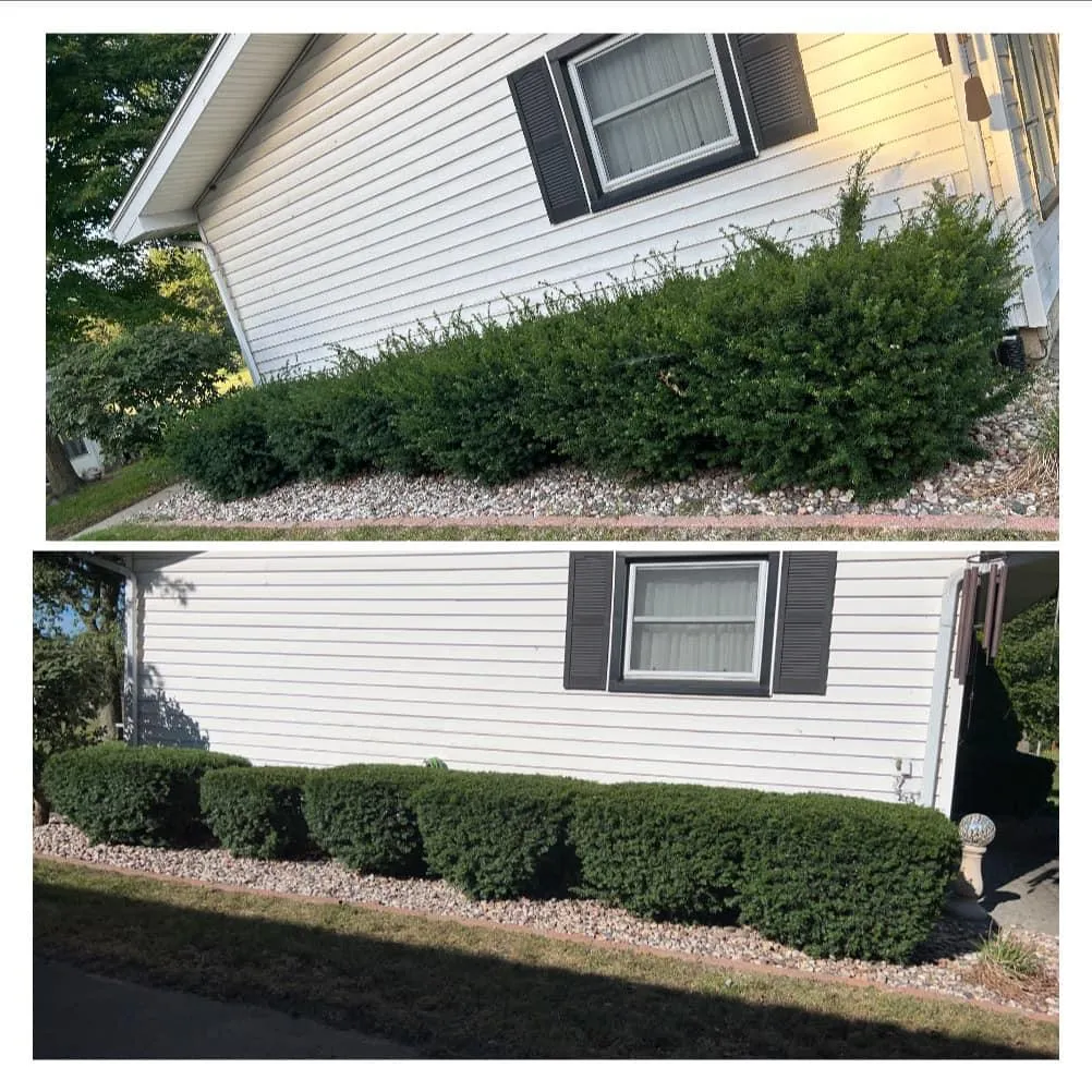 Hedge Trimming