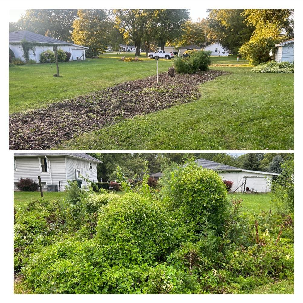 Shrub Removal
