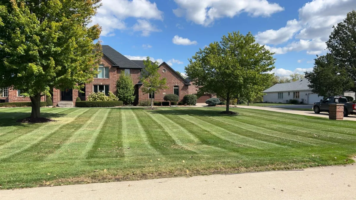 Lawn Mowing