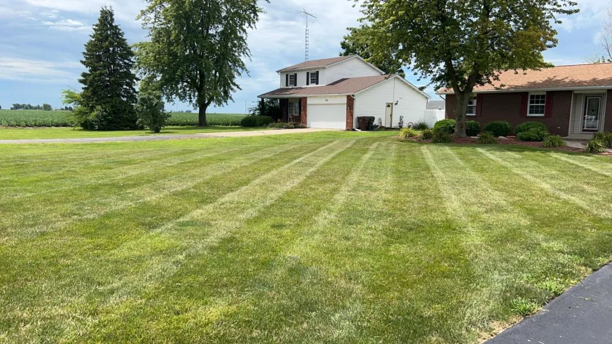 Lawn Mowing