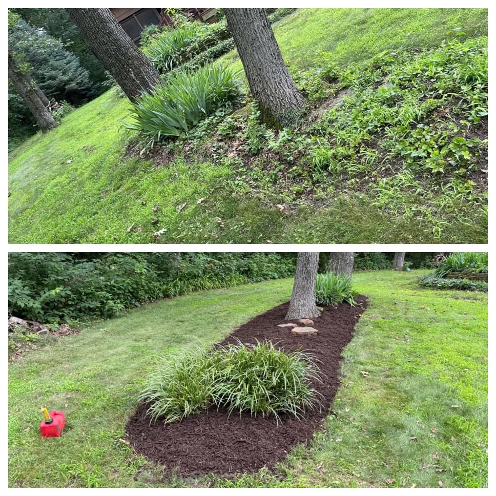 Weed Removal