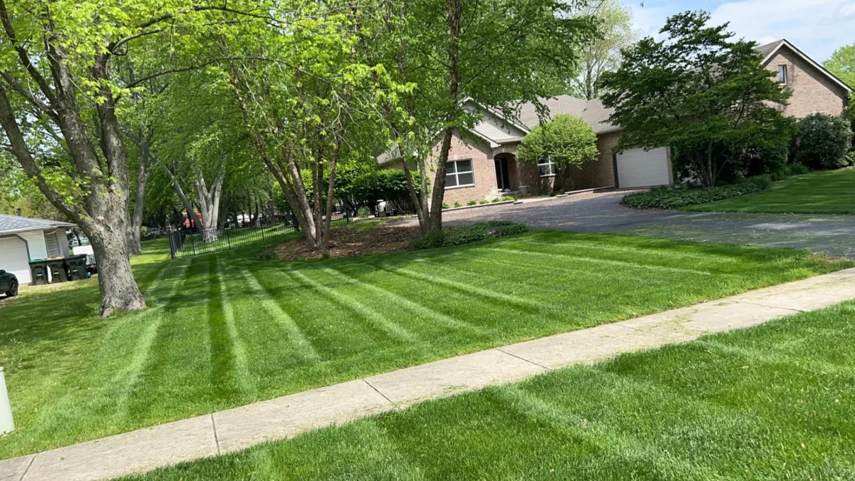 Lawn Mowing