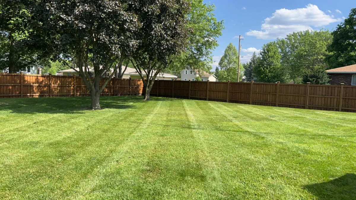 Lawn Mowing